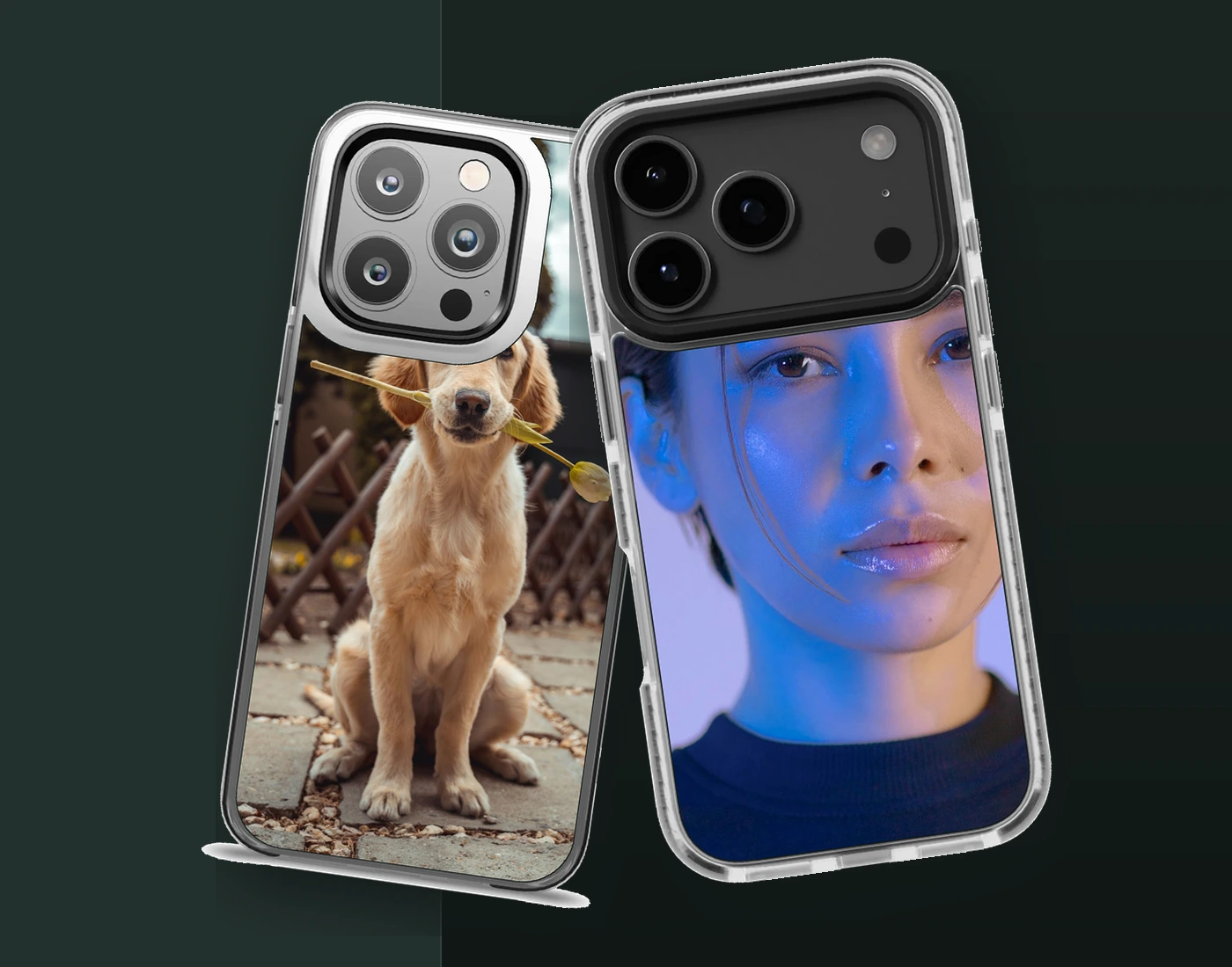 Portrait and pet photo cases in a dark studio setting